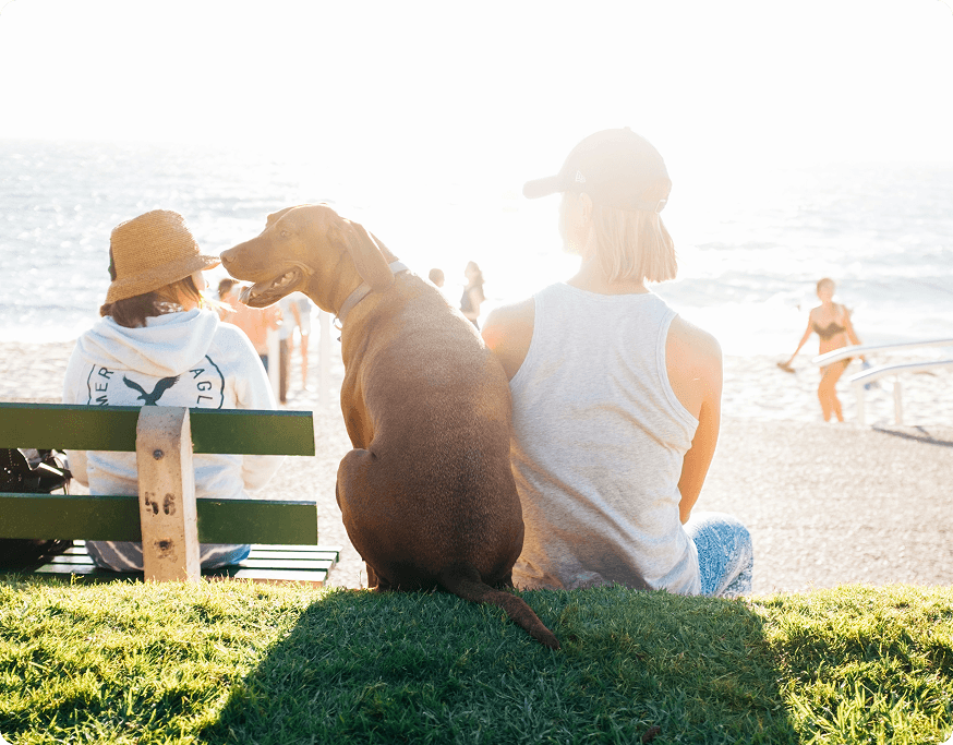People with a dog near the sea