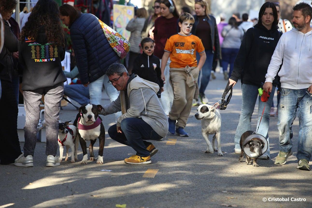Fiesta de los Animales en Terrassa: Celebrando el Día Mundial de los Animales